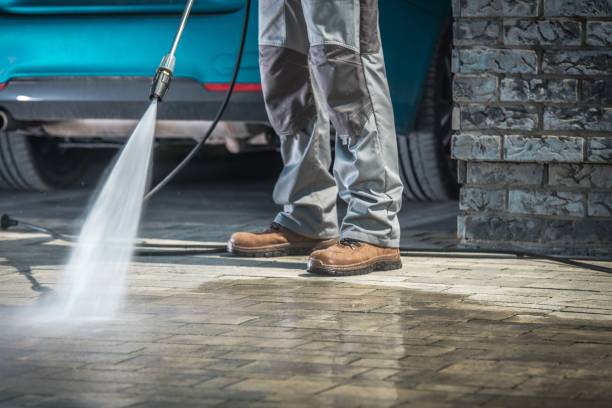 Best Spring Cleaning  in Escondido, CA